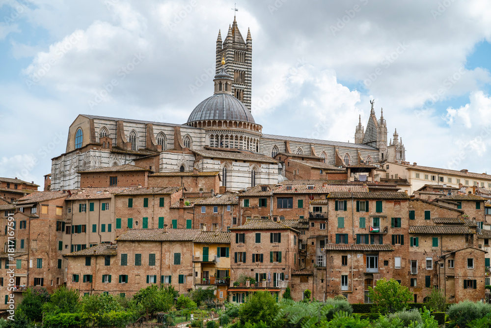 Fototapeta premium Siena city view with Mangia Tower and Cathedral , Siena, , Tuscany, Italy