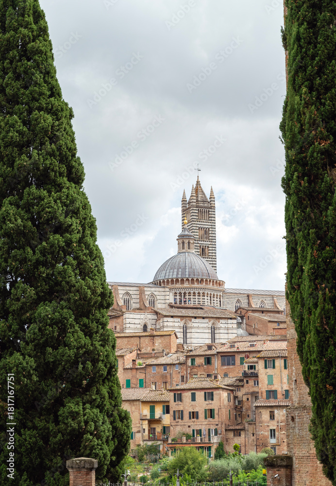 Obraz premium Siena city view with Mangia Tower and Cathedral , Siena, , Tuscany, Italy