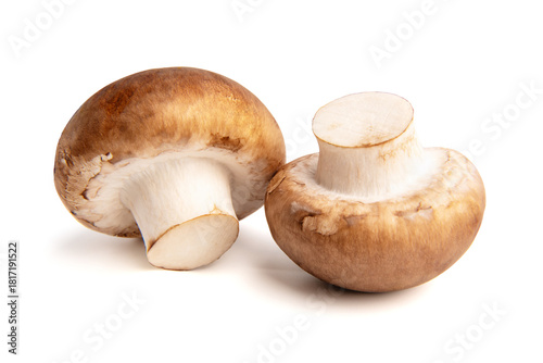 Fresh champignon mushrooms isolated on white background.