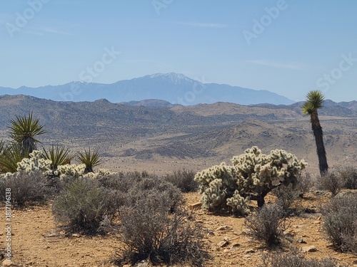 Views towards San Jacinto Peak from summit of Ryan Mountain in Joshua Tree National Park, California