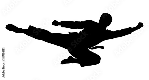 Striking Black Silhouette of a Martial Arts Athlete Executing a Dynamic Mid-Air Jumping Kick