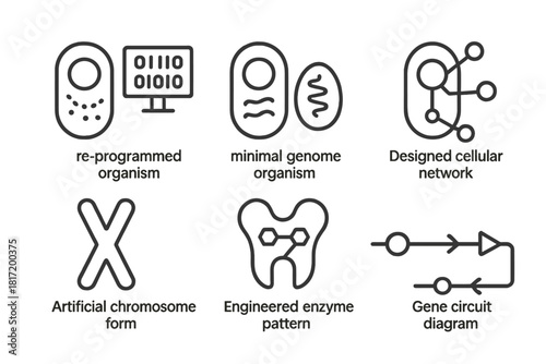 Synthetic Biology Icons. Line style icons of synthetic biology art: re-coded organism display, minimal genome organism, designed