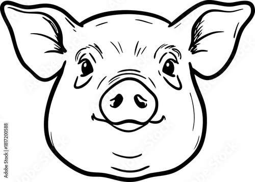 Pig face outline drawing shows cheerful animal, with cute features and playful smile. Pig face detailed artwork can represent animal concept, farm life and domestic animals.