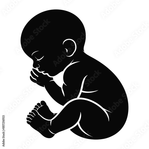 Black silhouette of a newborn baby or infant in a peaceful, sleeping fetal position, representing new life, innocence, and early development