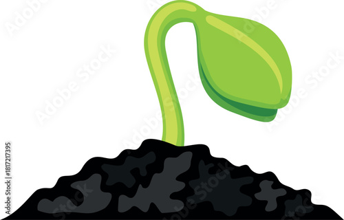 A small green plant is growing in the dirt