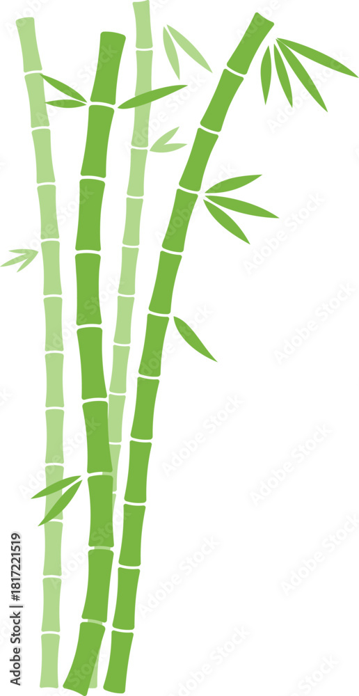 Naklejka premium A bamboo plant with green leaves and brown stalks