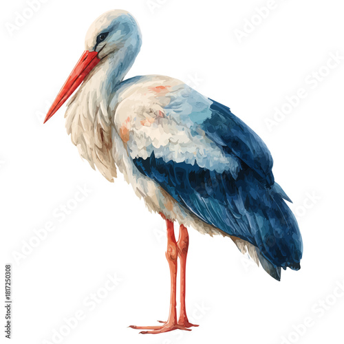 Stork watercolor artwork, high-quality professional vector illustration isolated on a white background.