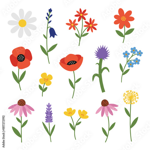 A hand‑drawn collection of floral and botanical elements—including leaves, foliage, wildflowers, plants, blooms, and herbs—designed as spring season vectors for decor, websites, graphics, and shop