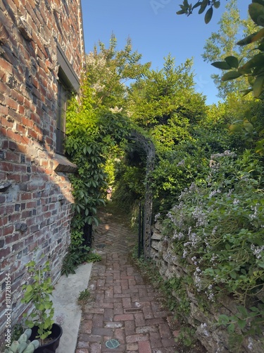 Garden Brick Pathway with Lush Overgrowth