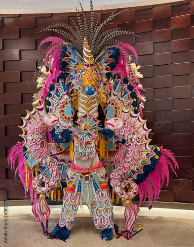 Vibrant Feathered Carnival Costume Display