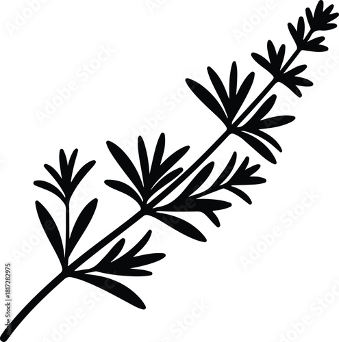 Illustration of a sprig of fresh rosemary herb silhouette vector