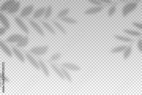 Plants overlay shadow. Reflect light from branchs. Sun rays reflection plant shadows on wall. Reflected shades isolated on transparent background. Horizontal shading design mockup. Vector illustration