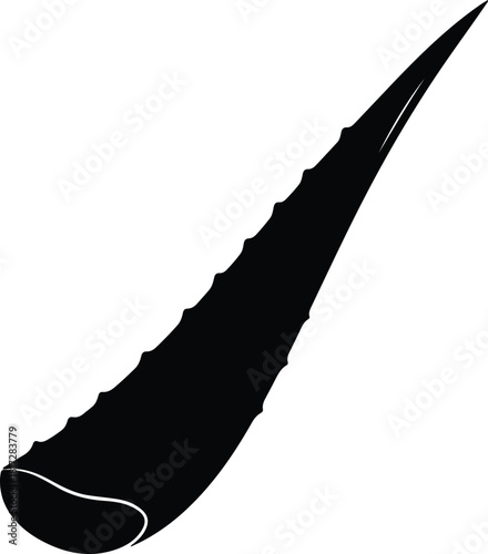 Illustration single aloe vera leaf medicinal plant silhouette vector