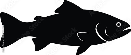 Illustration single salmon fish in black silhouette vector