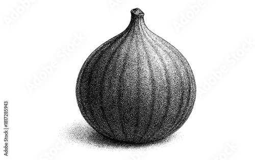 Detailed engraving style monochrome fig fruit illustration