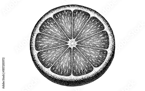 Detailed stippling orange slice art in black and white