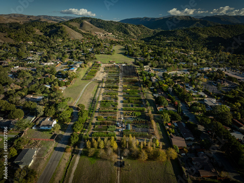 Abandoned Carmel Valley Airstrip. Now half converted to thriving tree Nursery.