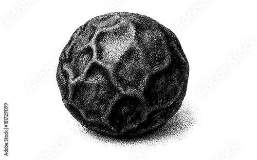 Detailed stippled black peppercorn in monochrome