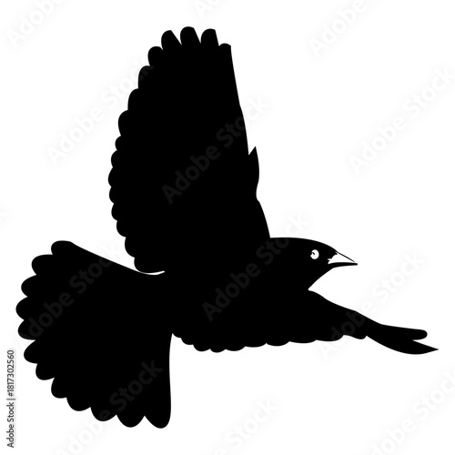 Black Flying Bird Illustration