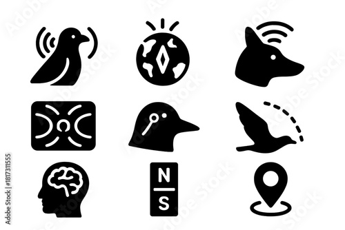 Magnetoreception Icon Studies. Solid style icons of magnetoreception studies: bird with magnetic field lines, Earth with internal