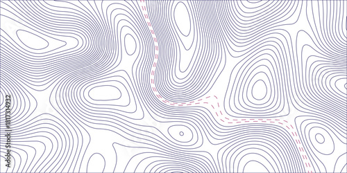 Topographic map. geographic line World map
 with elevation assignments. contour maps. Vector illustration.
