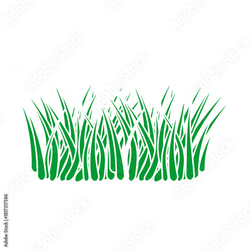 Isolated macro shot of fresh green spring grass blade growing on a white background