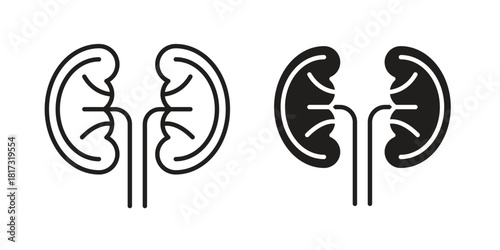 Kidney icon on white background. Stock vector icon