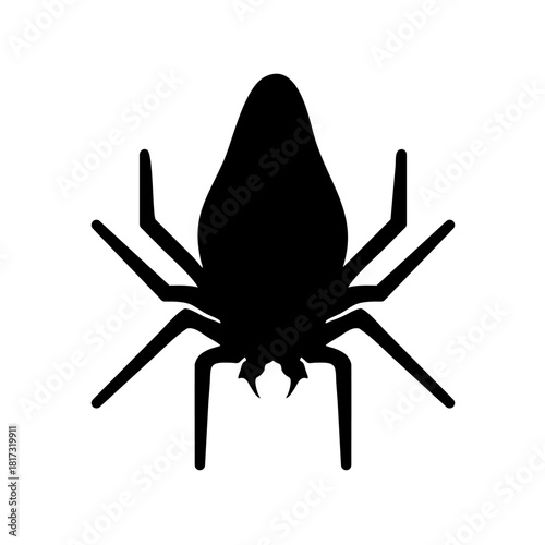 Blue background silhouette vector illustration of a scary black arachnid spider icon for Halloween design