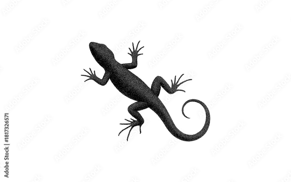Fototapeta premium Silhouette of a lizard with detailed texture on white background