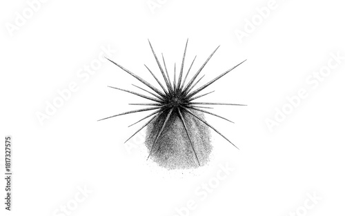 Minimalist cactus design in stipple shading: black and white spiky plant art