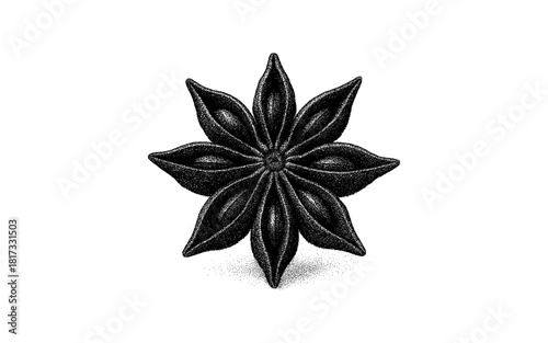 Intricate stippled star anise design: detailed botanical art in black and white