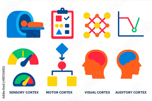 Cognitive Neuroscience Icons. Flat vector icons of cognitive neuroscience: fMRI scan, cognitive test, neural network, brain