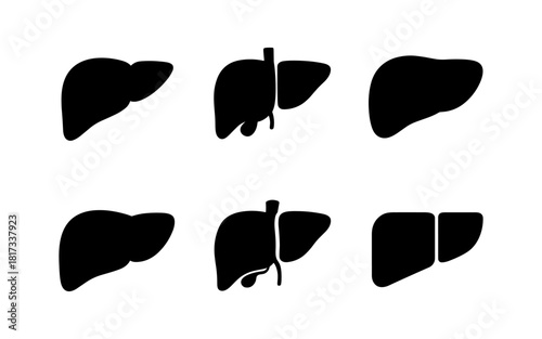 Collection of silhouette liver icons in various styles for medical designs