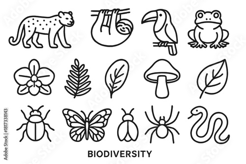 Biodiversity Line Icons. Line style icons of Biodiversity: Jaguar, Sloth, Toucan, Frog; Orchid, Fern, Mushroom, Leaf; Insect,