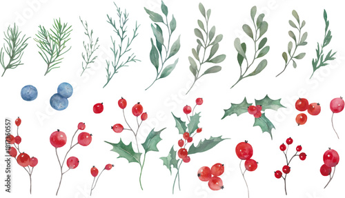  Watercolor set of winter botanicals with evergreen branches, holly leaves, red and blue berries. Hand drawn illustration. Vector EPS