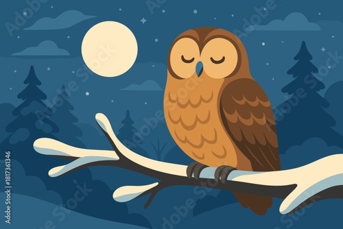 Gentle snowy frosty moon warm peace full illustration icy night vector owl