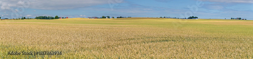 Fotografija Expansive agricultural landscape showing golden wheat fields ripening under a bl