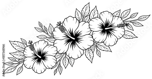 Elegant hibiscus flower arrangement black and white line art