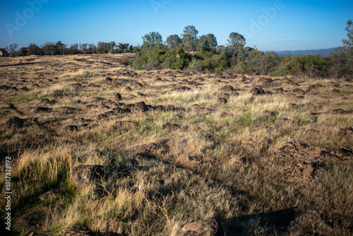 A Lava Field at the Top of a Table Mountain showing the plant life and grass.