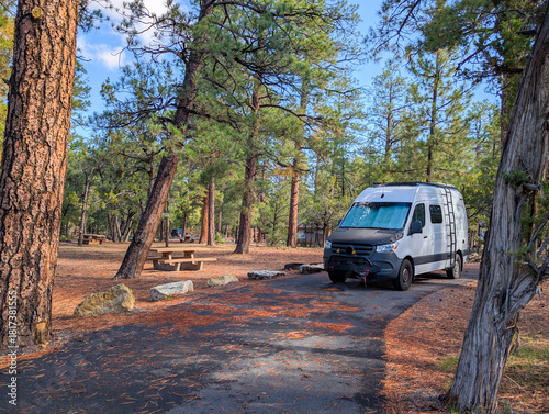 Camper van parked at wooded campsite with picnic table and fire pit