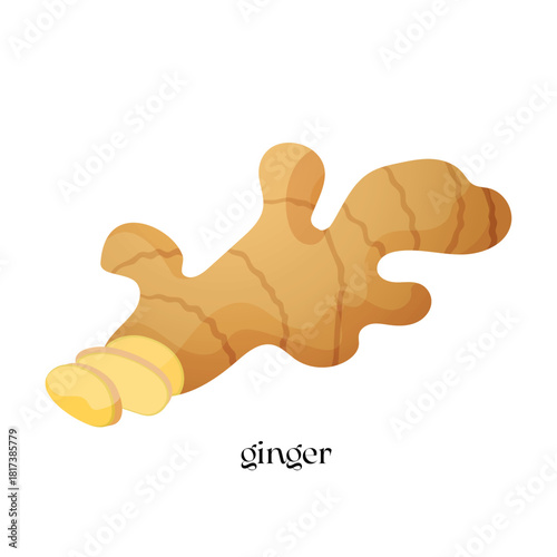 Vector illustration of a ginger root isolated on a white background with lettering below, perfect for culinary projects, spice packaging, food blogs, recipe design, etc.