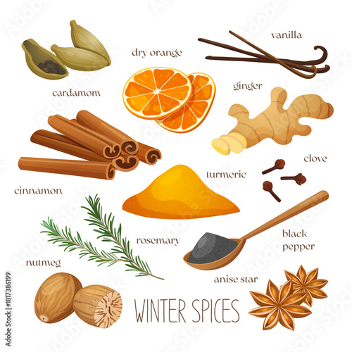 Illustration of winter spices on a white background, including cinnamon sticks, nutmeg, cloves, turmeric powder, anise stars, ginger root, rosemary sprigs, cardamom pods, black pepper, etc.
