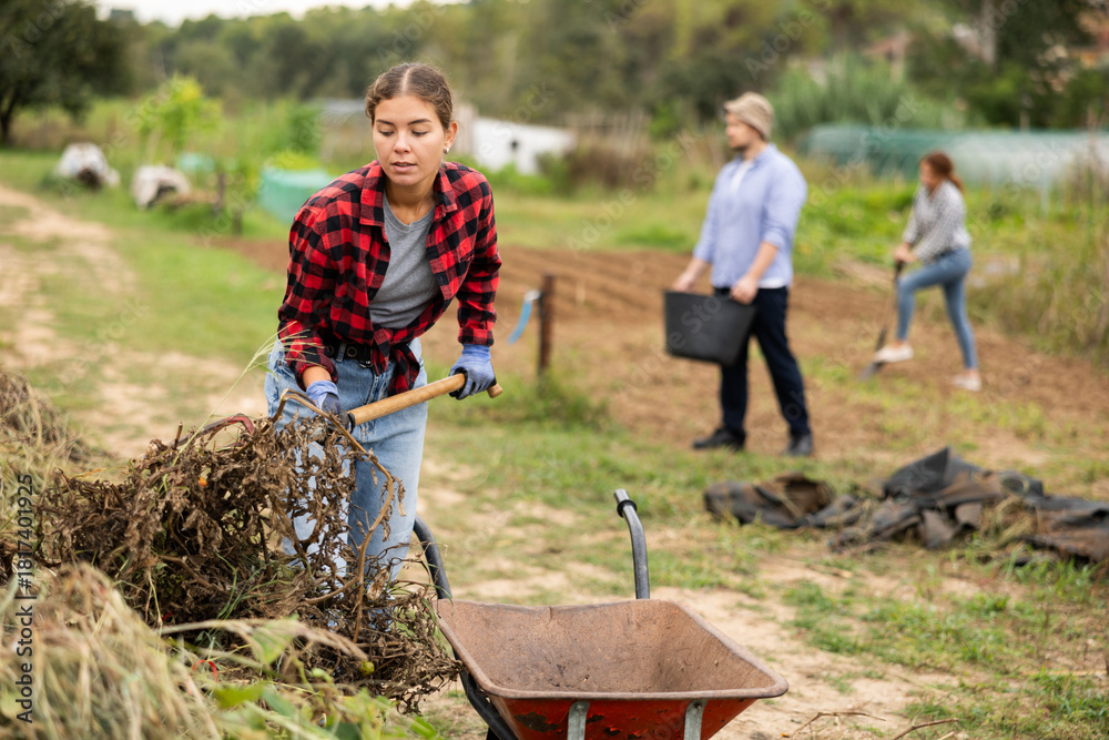 Fototapeta premium While working in backyard, girl collects branches, eliminates pile of garbage and waste, puts branches in wheelbarrow. She cleans up in front of country house and on patio