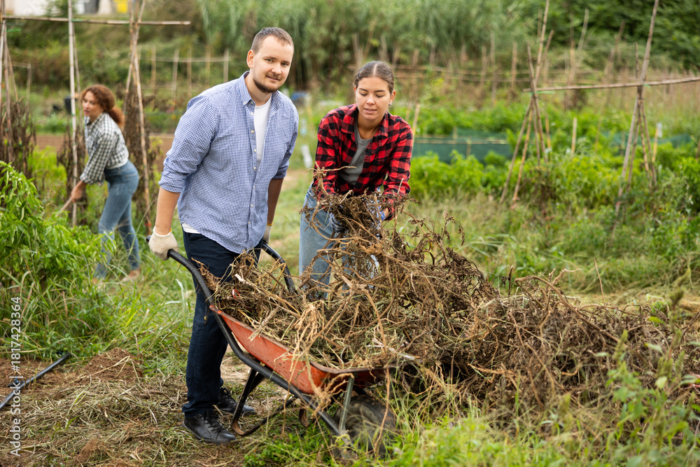 Fototapeta premium Portrait of positive employees cleaning backyard. Woman and man takes out bunch of branches, puts garbage in wheelbarrow, and cleans up next to cottage and ranch.