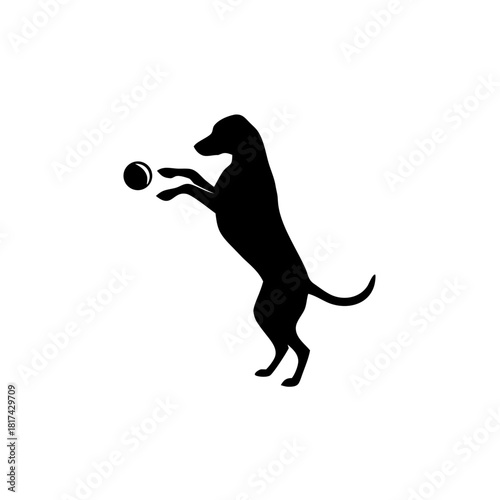 Playful dog standing on hind leg reaching for ball, energetic pet silhouette