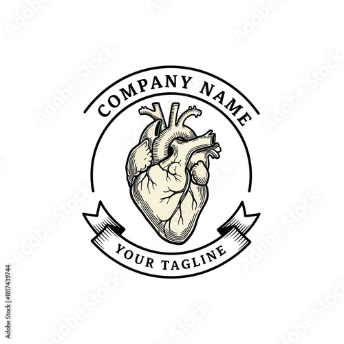 Anatomical Heart Illustration for Medical or Healthcare Company Logo Design.