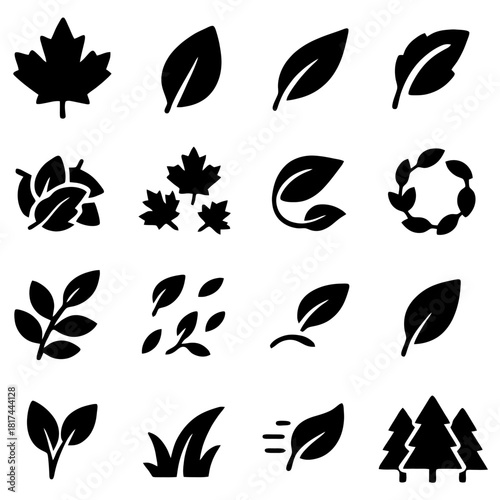 Nature's Elegant Palette: A collection of exquisite leaf silhouettes, each one a testament to the intricate beauty and delicate simplicity of the natural world.