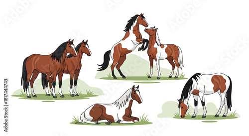 A charming illustration showcasing a variety of pinto horses in different natural poses, featuring elegant brown and white equines standing, playing, grazing, and resting peacefully