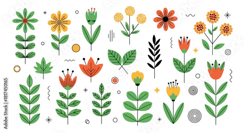 Colorful Floral Collection Vector Illustrations of Various Flowers, Leaves, and Decorative Elements