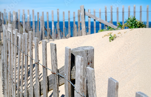 Snow Fence at Corporation Beach at Dennis, Cape Cod